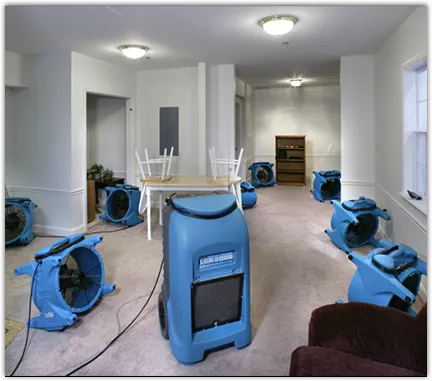 Emergency Water Damage Services in Taylor, TX