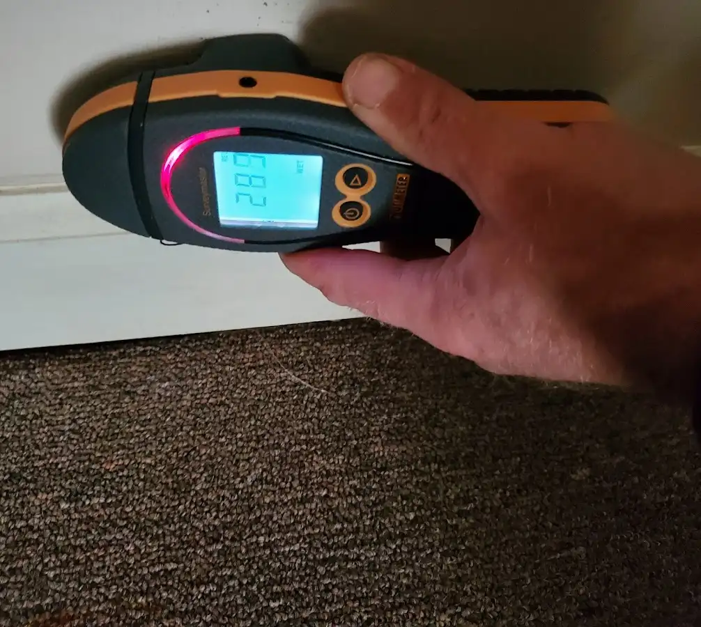 Moisture detection at baseboard during Sewage Cleanup & Sanitation in Taylor
